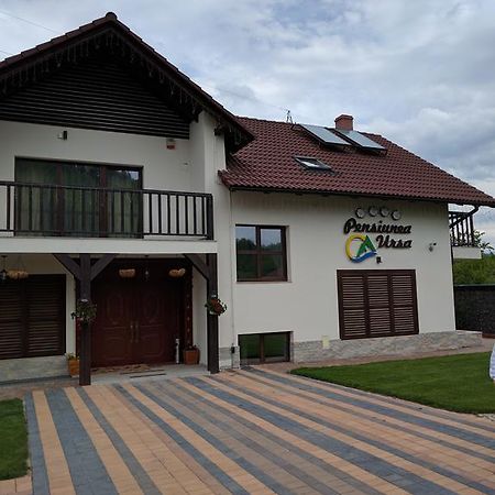 Hotel Pensiunea Ursa Bistrita Bargaului Zewnętrze zdjęcie